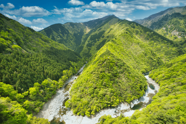 徳島県の祖谷渓